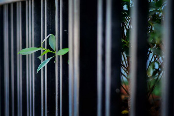 �Ѵ�ǹ˹�ҷ�ǹ���� �駺૿� 5 �ѹ�ҷ