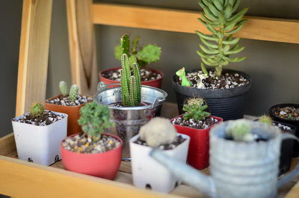 �Ѵ�ǹ˹�ҷ�ǹ���� �駺૿� 5 �ѹ�ҷ