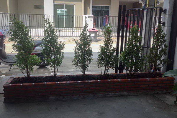 �Ѵ�ǹ˹�ҷ�ǹ���� �駺૿� 5 �ѹ�ҷ