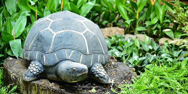 �Ѵ�ǹ㹺�ҹ �ͧ�������Ъ���դ�������