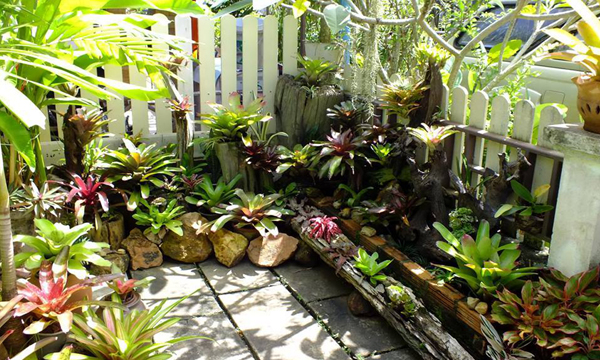 �Ѵ�ǹ㹺�ҹ �ʧ