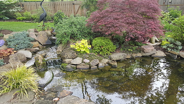 ฮวงจุ้ย บ่อน้ำ-น้ำพุ