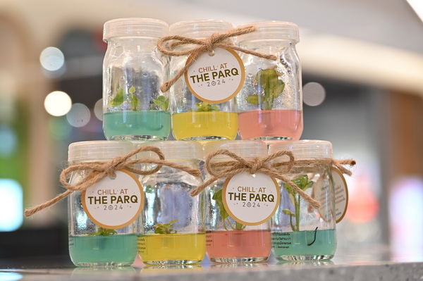 ��������㹢Ǵ��� Mini plants ��Ť�� 100 �ҷ