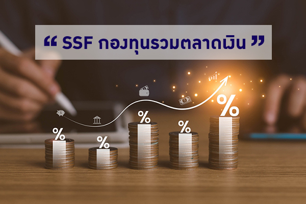 SSF ͧعҴԹ