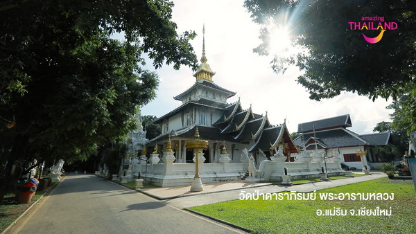 วัดป่าดาราภิรมย์