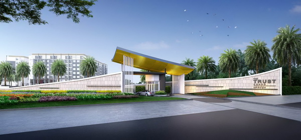 The Trust �͹� ��û��