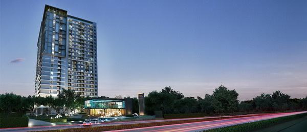 The Trust �͹� �ѷ����