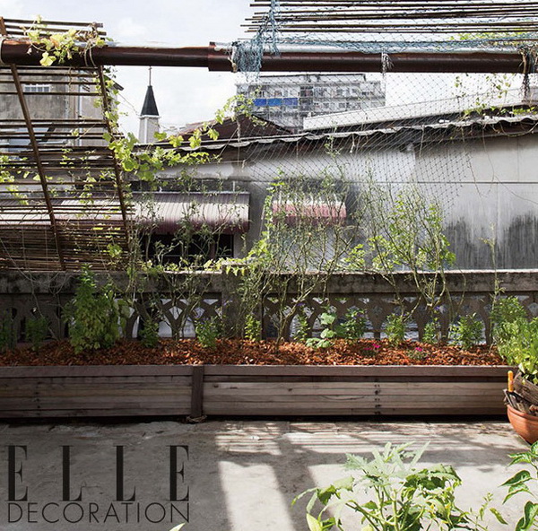 �觾�鹷��㨡�ҧ��ҹ ����ҡ����§��ʴ���Ẻ��չ������