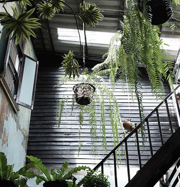 �觾�鹷��㨡�ҧ��ҹ ����ҡ����§��ʴ���Ẻ��չ������