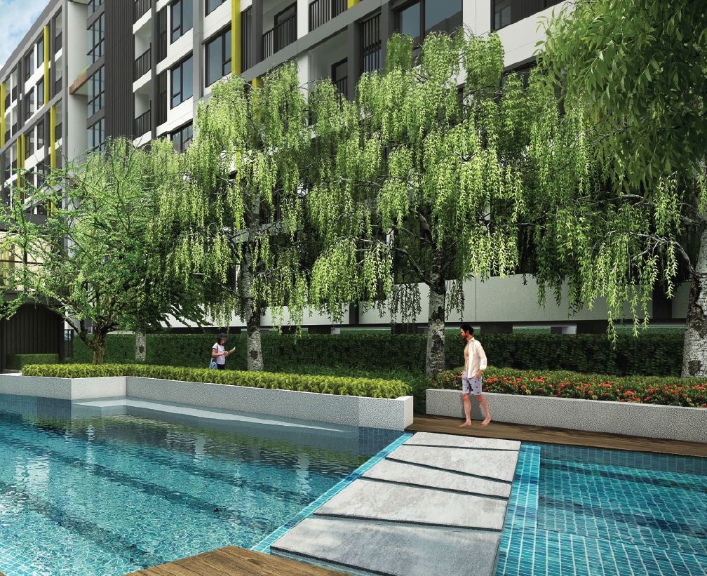 �͹� ��йԪ ��� �ҧ��