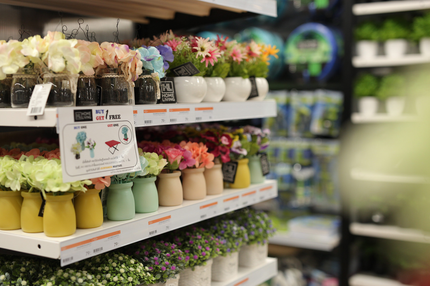 ����� �տ���