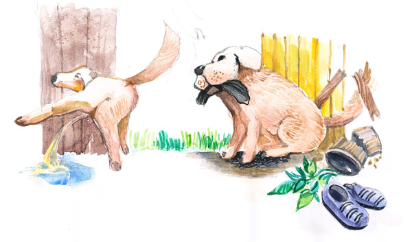 10 �ѭ�Ҥ��Ŵ �� ��ԡ ��͹�Դ㨡Ѻ����ҧ��ҹ 