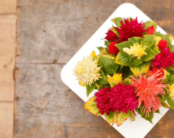 10 ��������͡��§�� ��һ�١��дѺ��ҹ�Ĵ�˹�� ����¹����ҡ�������仵��Ĵ١��