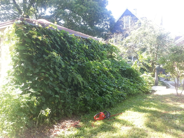 �Ѵ�ǹ��ѧ��ҹ��鹷��á� ����������ª�� ����¹�������������蹪�žѡ��͹ʺ���