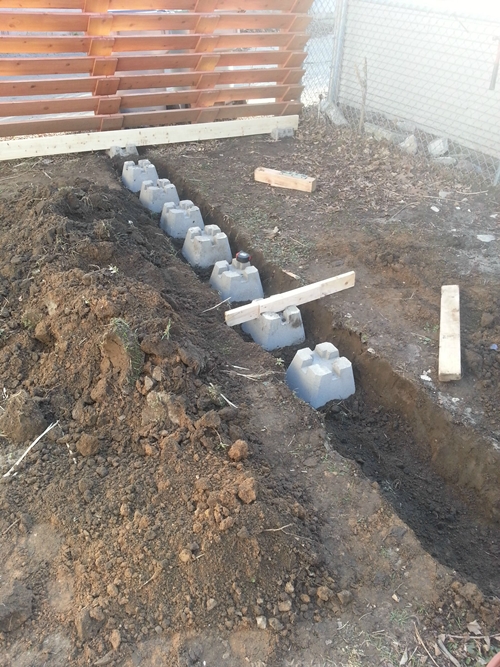 �Ѵ�ǹ��ѧ��ҹ��鹷��á� ����������ª�� ����¹�������������蹪�žѡ��͹ʺ���