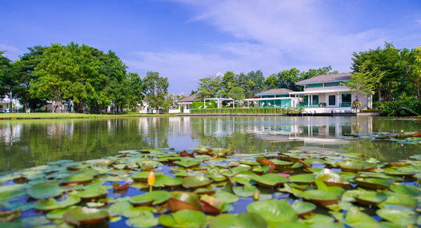 ��ҹ�ġ��Ŵ� �ҧ��