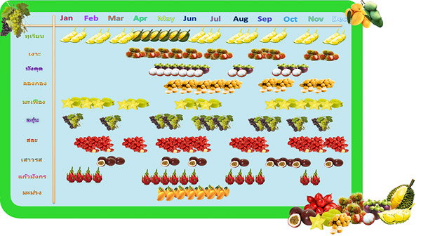 20 �ǹ������ͧ������� ���ͧ �ѹ����� ��Ҵ 