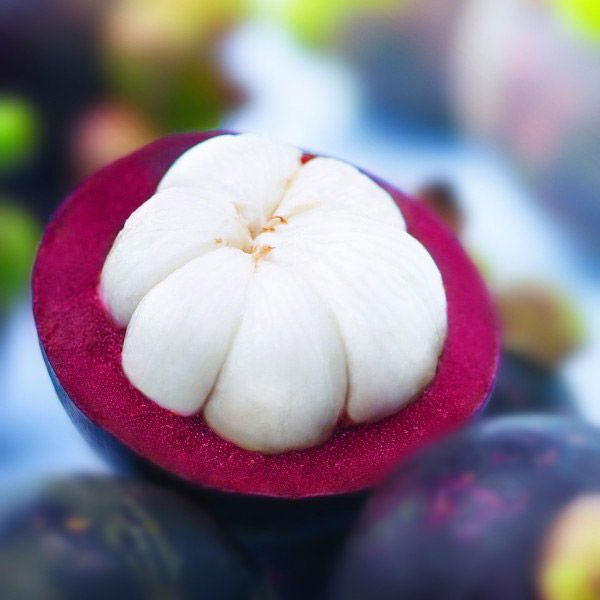 20 �ǹ������ͧ������� ���ͧ �ѹ����� ��Ҵ 