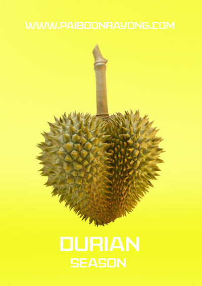 20 �ǹ������ͧ������� ���ͧ �ѹ����� ��Ҵ 