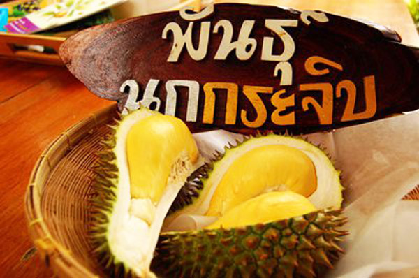 20 �ǹ������ͧ������� ���ͧ �ѹ����� ��Ҵ 