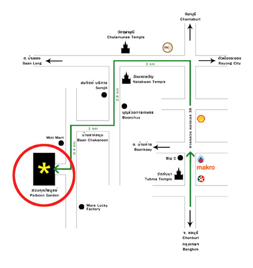 20 �ǹ������ͧ������� ���ͧ �ѹ����� ��Ҵ 