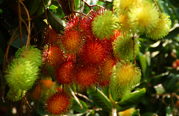 20 �ǹ������ͧ������� ���ͧ �ѹ����� ��Ҵ 