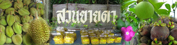 20 �ǹ������ͧ������� ���ͧ �ѹ����� ��Ҵ 