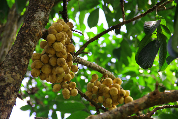 20 �ǹ������ͧ������� ���ͧ �ѹ����� ��Ҵ 