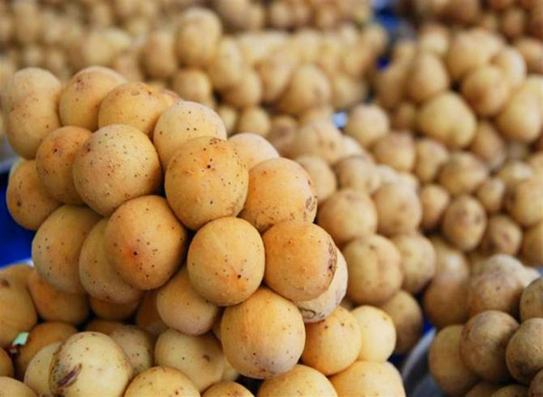 20 �ǹ������ͧ������� ���ͧ �ѹ����� ��Ҵ 