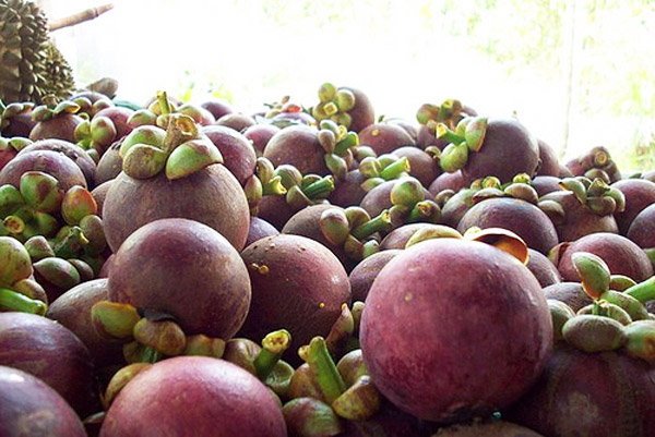 20 �ǹ������ͧ������� ���ͧ �ѹ����� ��Ҵ 