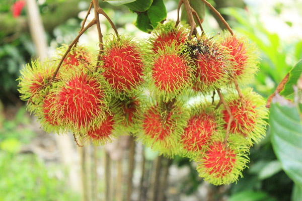 20 �ǹ������ͧ������� ���ͧ �ѹ����� ��Ҵ 