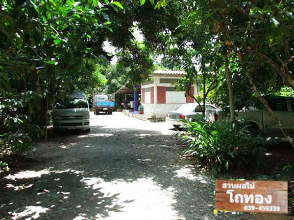 20 �ǹ������ͧ������� ���ͧ �ѹ����� ��Ҵ 