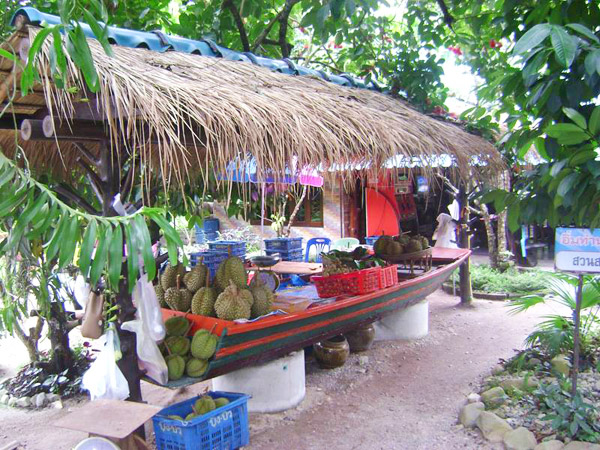 20 �ǹ������ͧ������� ���ͧ �ѹ����� ��Ҵ 