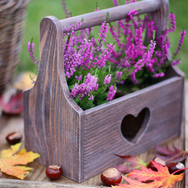 ������ŧ�ͧ�������㹺�ҹ �繡�жҧ�������´ٴ�������