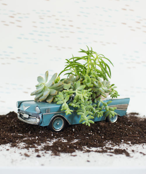 ������ŧ�ͧ�������㹺�ҹ �繡�жҧ�������´ٴ�������