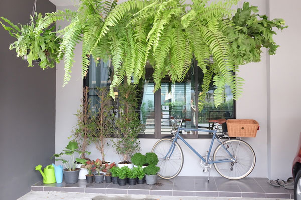 ����µ��觷�ǹ���� 2 ���