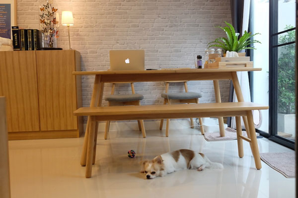 ����µ��觷�ǹ���� 2 ���