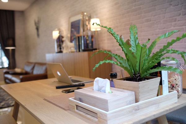 ����µ��觷�ǹ���� 2 ���