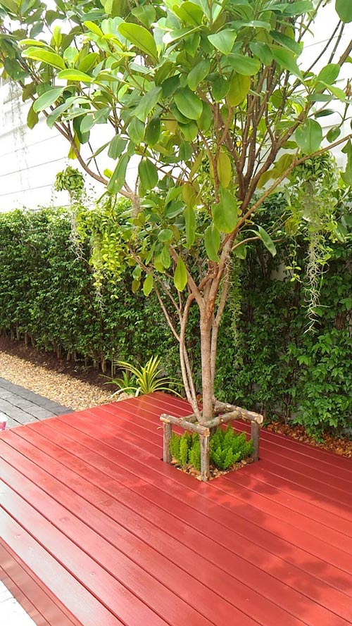 �Ѵ�ǹ��ҧ��ҹ����觪��� ���鹷���ҧ��ҹ��ǹ�������