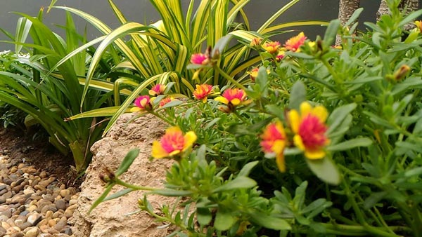 �Ѵ�ǹ��ҧ��ҹ����觪��� ���鹷���ҧ��ҹ��ǹ�������