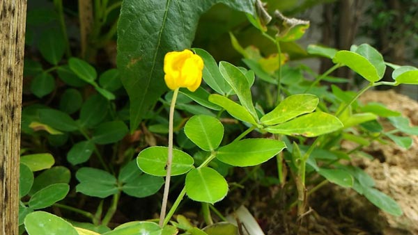 �Ѵ�ǹ��ҧ��ҹ����觪��� ���鹷���ҧ��ҹ��ǹ�������