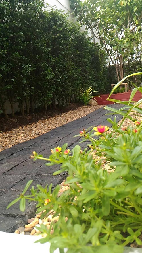 �Ѵ�ǹ��ҧ��ҹ����觪��� ���鹷���ҧ��ҹ��ǹ�������