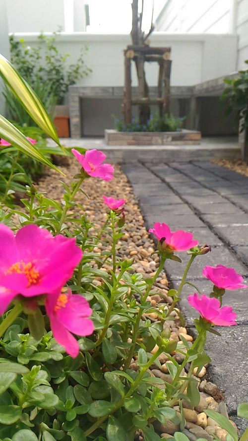 �Ѵ�ǹ��ҧ��ҹ����觪��� ���鹷���ҧ��ҹ��ǹ�������