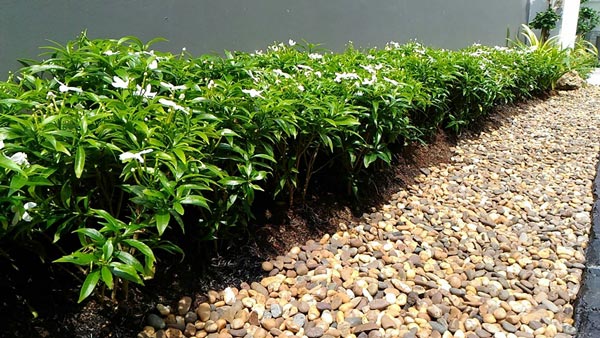 �Ѵ�ǹ��ҧ��ҹ����觪��� ���鹷���ҧ��ҹ��ǹ�������