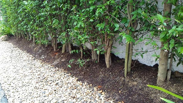 �Ѵ�ǹ��ҧ��ҹ����觪��� ���鹷���ҧ��ҹ��ǹ�������