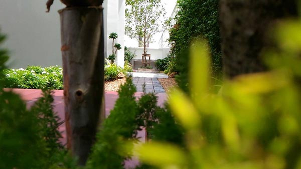 �Ѵ�ǹ��ҧ��ҹ����觪��� ���鹷���ҧ��ҹ��ǹ�������