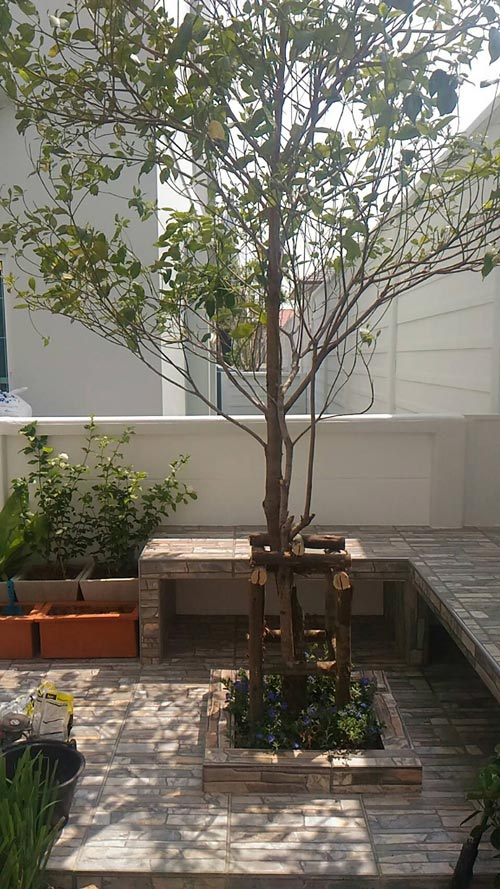 �Ѵ�ǹ��ҧ��ҹ����觪��� ���鹷���ҧ��ҹ��ǹ�������