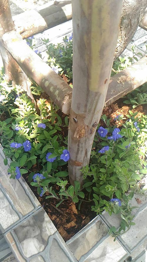 �Ѵ�ǹ��ҧ��ҹ����觪��� ���鹷���ҧ��ҹ��ǹ�������