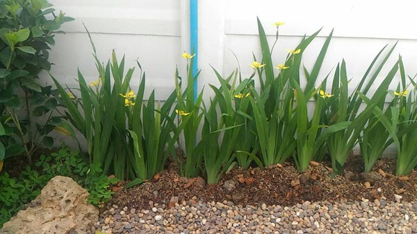 �Ѵ�ǹ��ҧ��ҹ����觪��� ���鹷���ҧ��ҹ��ǹ�������