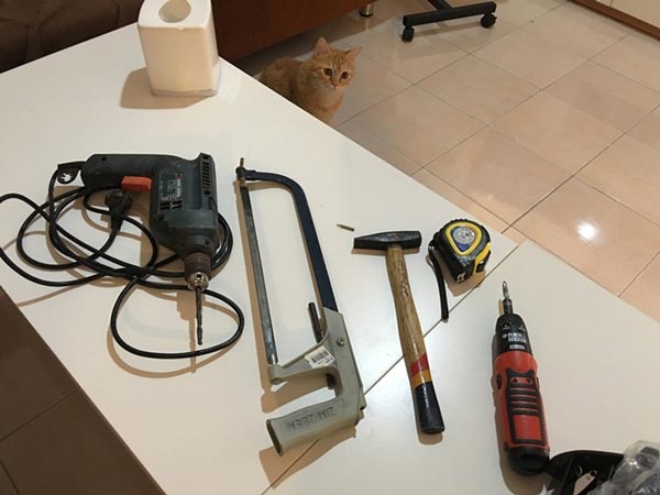 ����ҹ�������������ͧ��繢��